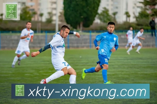 xingkong平台生态图