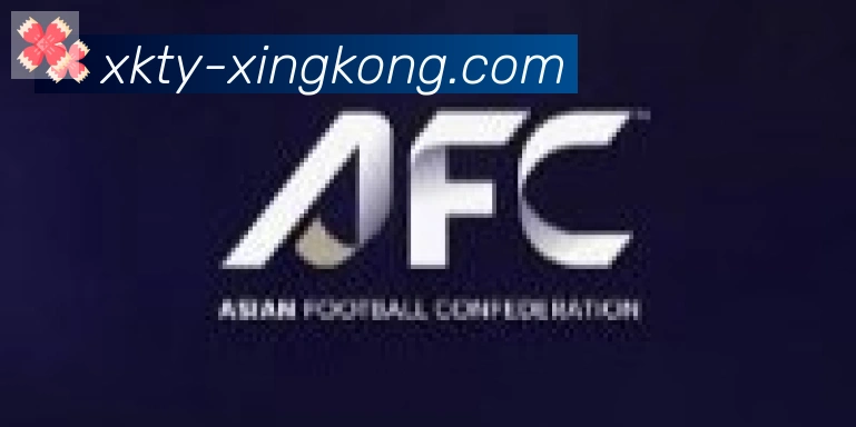 xingkong合作伙伴