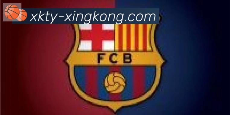 xingkong合作伙伴