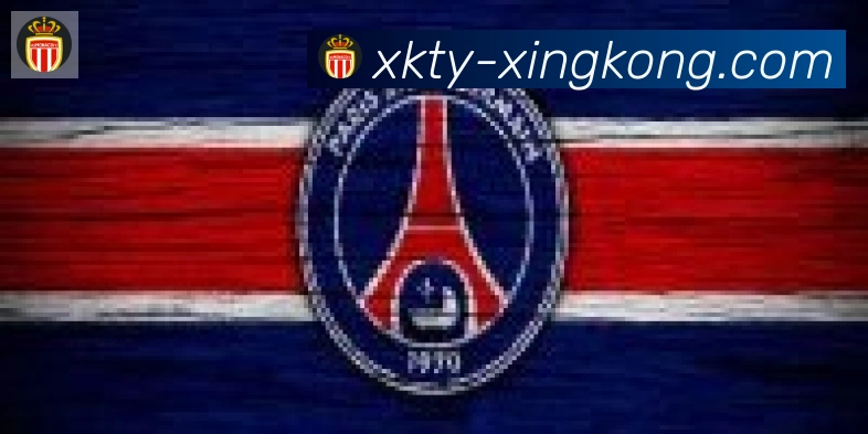 xingkong合作伙伴