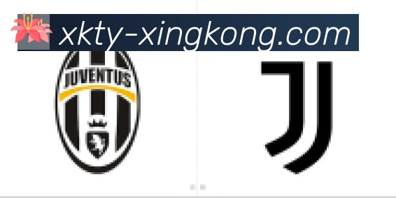 xingkong合作伙伴