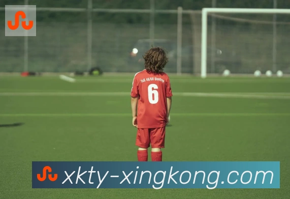 数据防护可视化